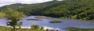 Apprendere o sviluppare abilità?